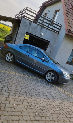 Peugeot 307 CC cena 9800 przebieg: 316000, rok produkcji 2004 z Aleksandrów Łódzki małe 154